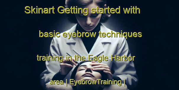 Skinart Getting started with basic eyebrow techniques training in the Eagle Harbor area | EyebrowTraining | EyebrowClasses | SkinartTraining-United States